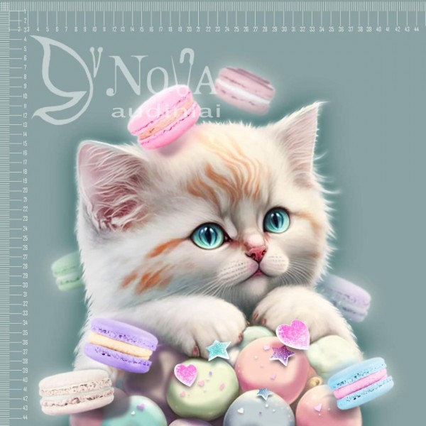 Kilpinis trikotažas "Katinėlis su macarons"