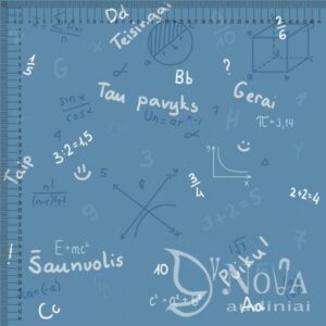 Kilpinis trikotažas "Matematika"