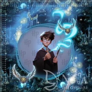 Kilpinis trikotažas "Harry potter"