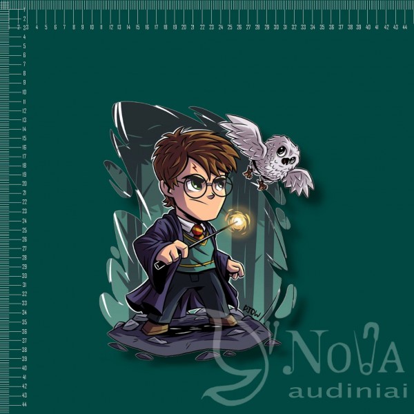 Kilpinis trikotažas "Harry potter"