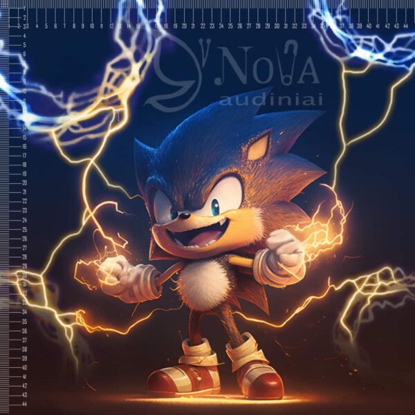 Softveliūras "Sonic1"