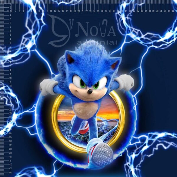 Softveliūras "Sonic auksinis ratas"