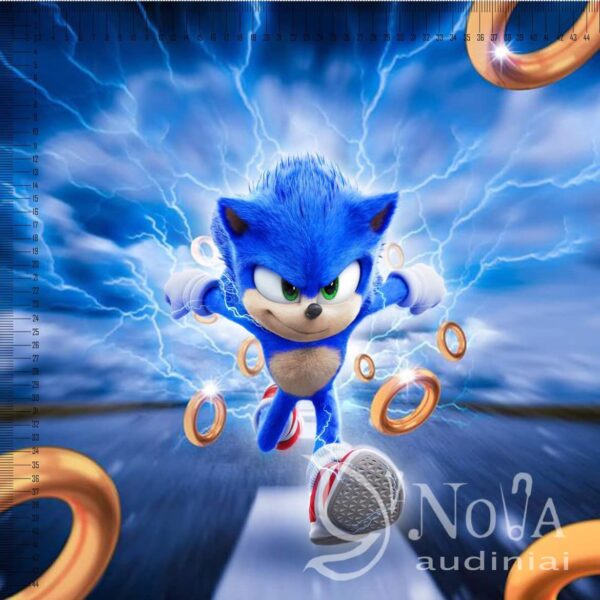 Softveliūras "Sonic bega"