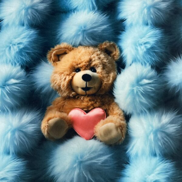 Softveliūras "Meškiukas"