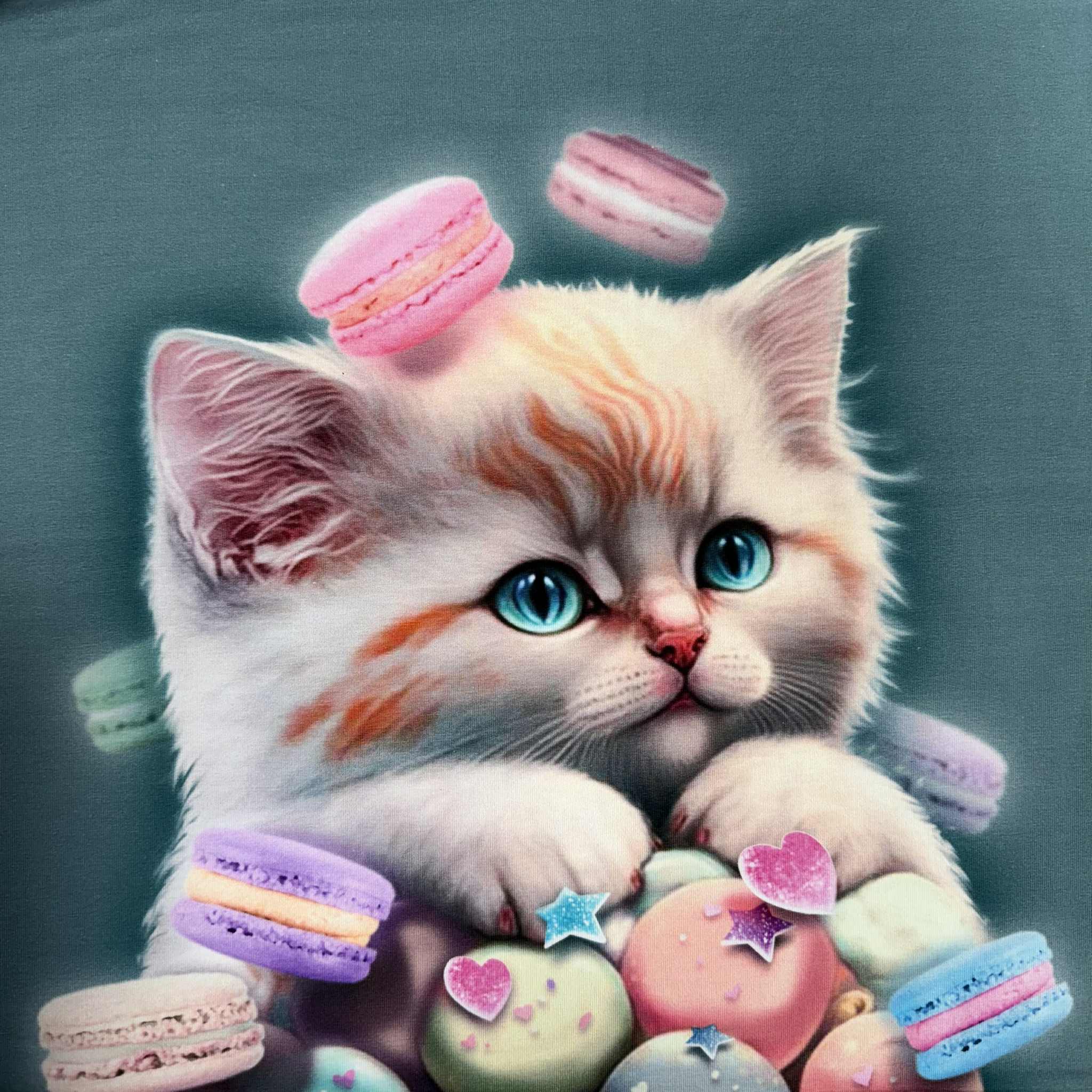 Kilpinis trikotažas "Kačiukas su sausainiais"