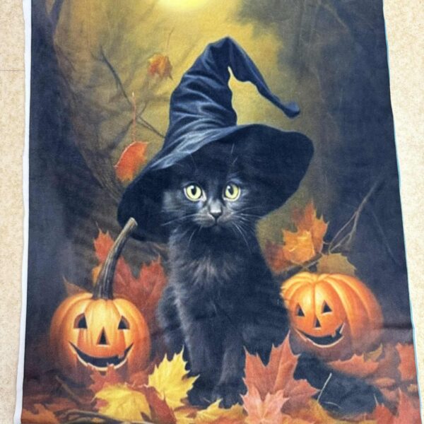 Softveliūras "Helovyno kačiukas"