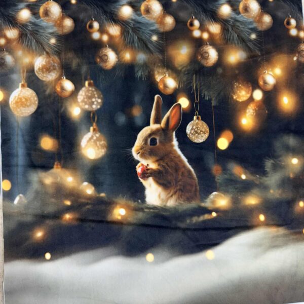 Softveliūras "Kalėdinis kiškutis"