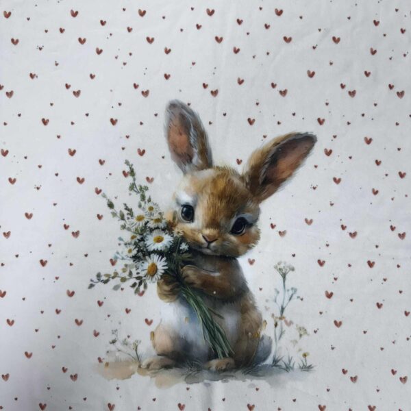 Softveliūras "kiškis 2"