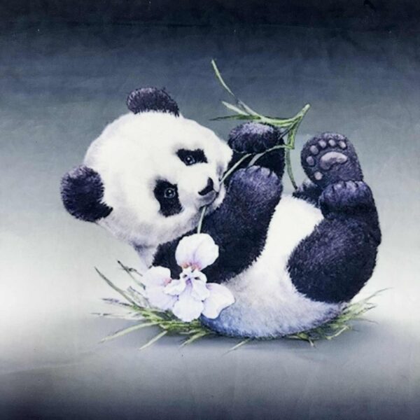 Softveliūras "panda"