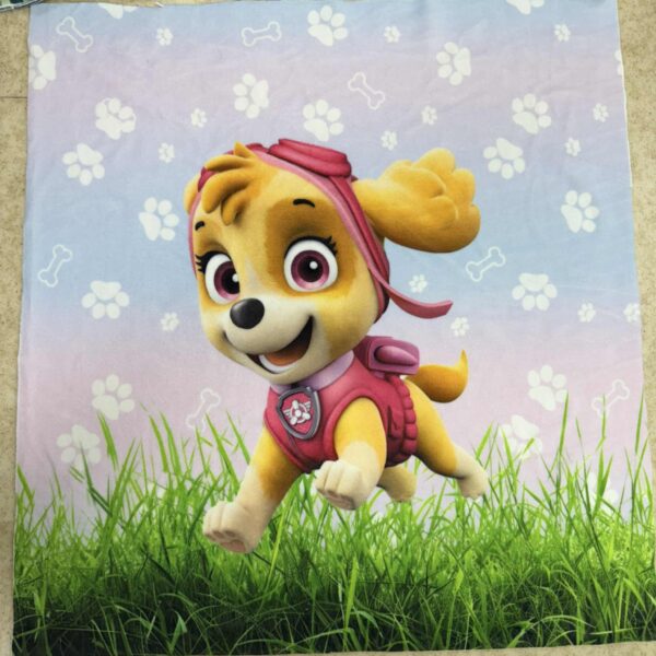 Softveliūras "Patruliai Skye"