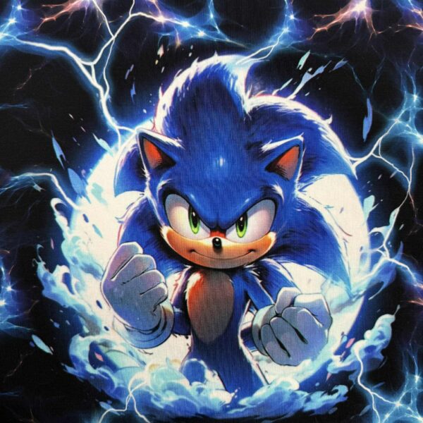 Kilpinis trikotažas "Sonic Žaibai"