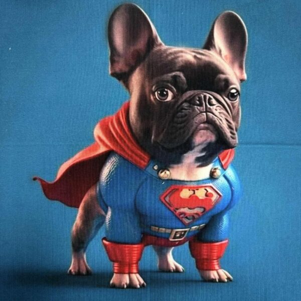 Kilpinis trikotažas "Šuniukas superman'