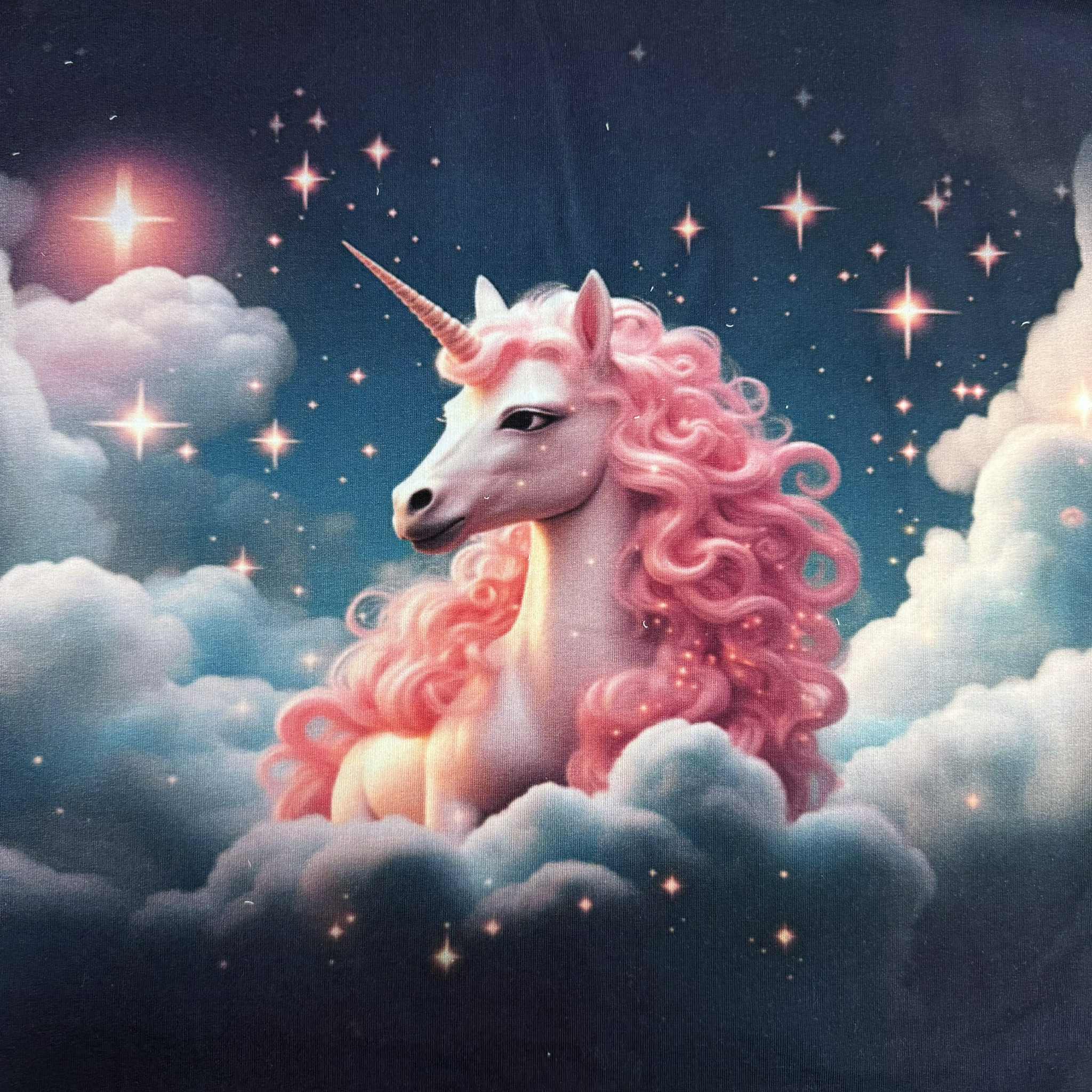 Kilpinis trikotažas "Vienaragis"